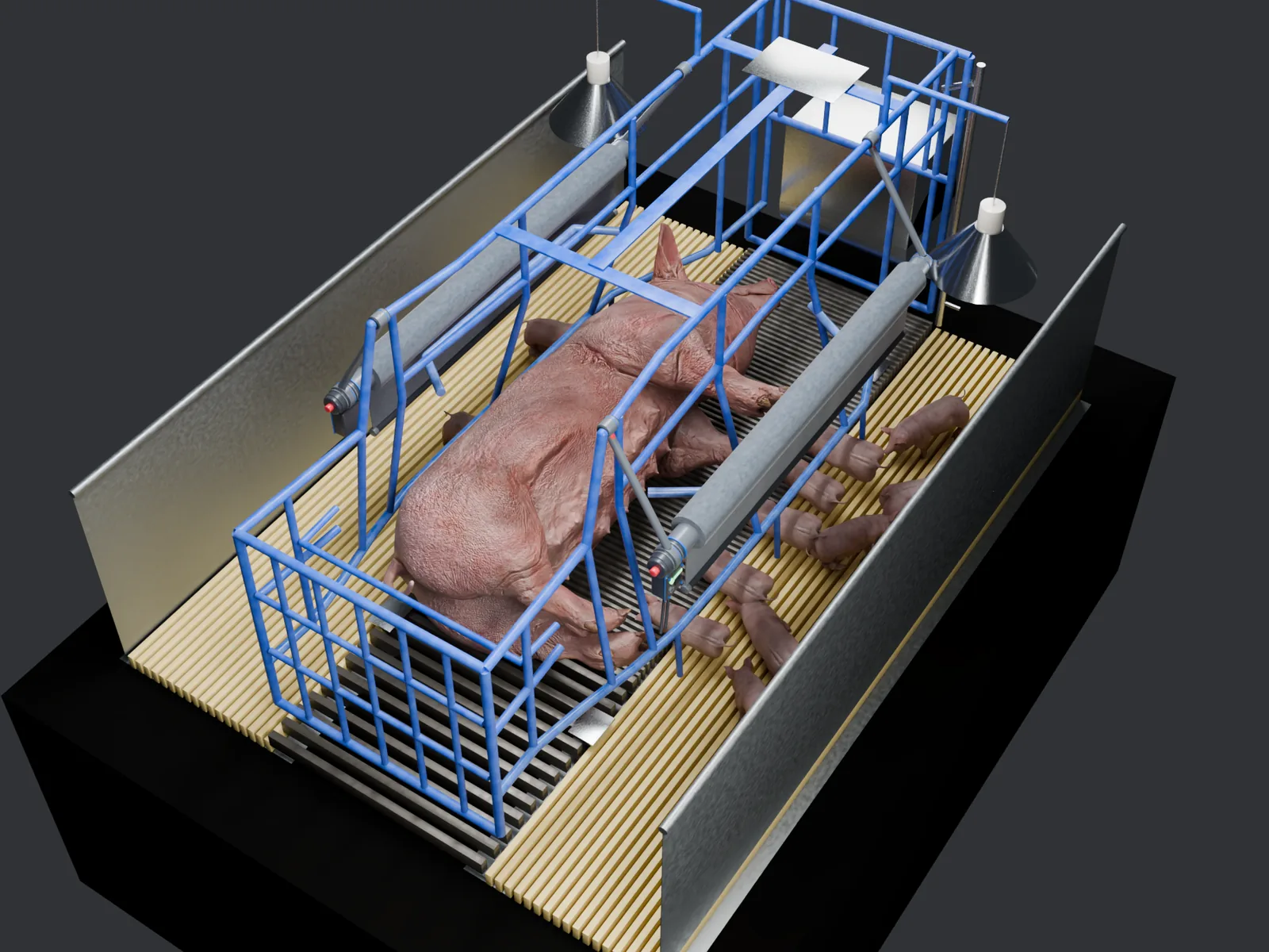 Overhead render: sow in lateral lying on the left strip, both curtains lifted, concept industrial design
