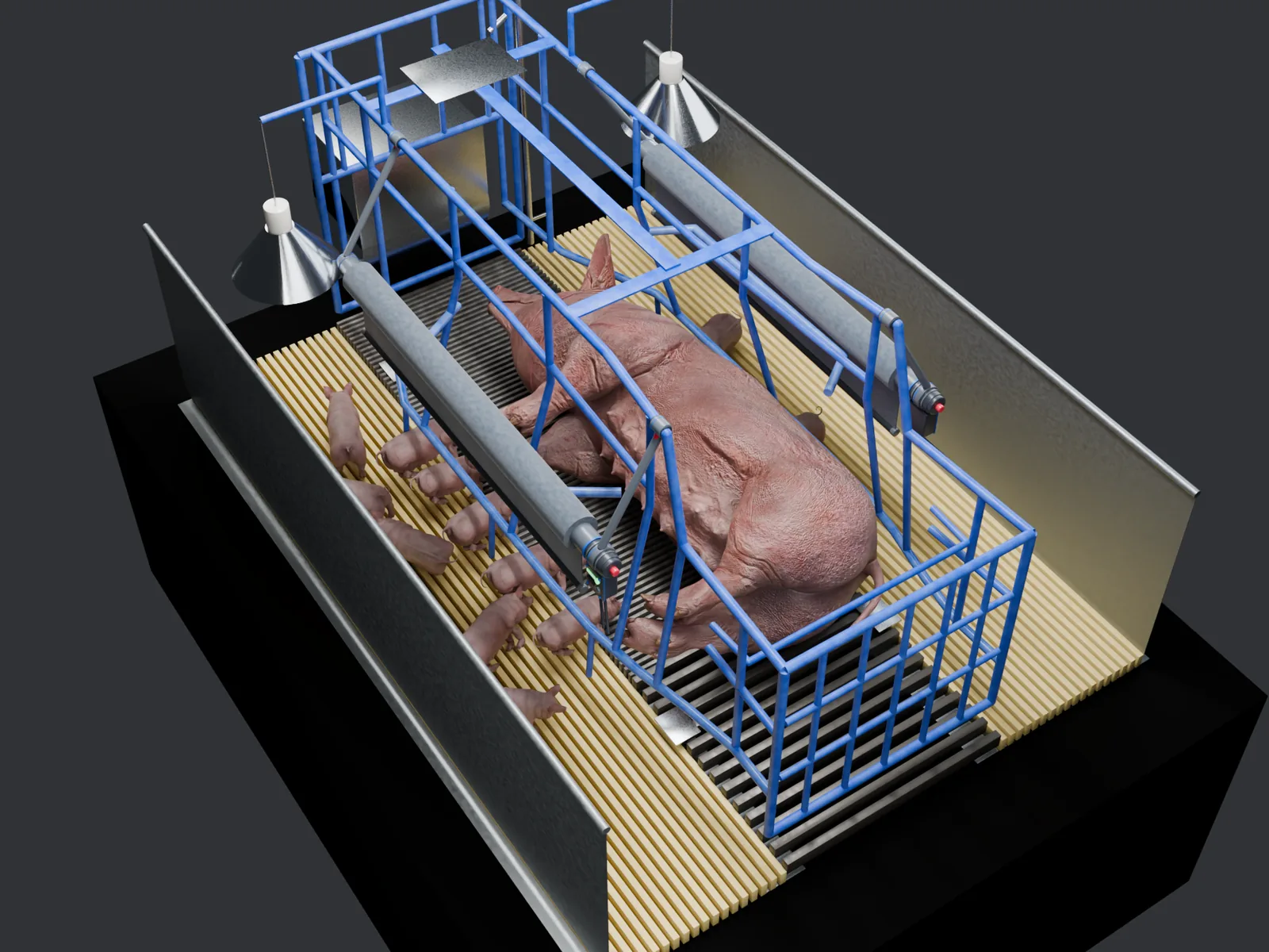 Overhead render: sow in lateral lying on the right strip, both curtains lifted, piglets nursing from the left, concept industrial design