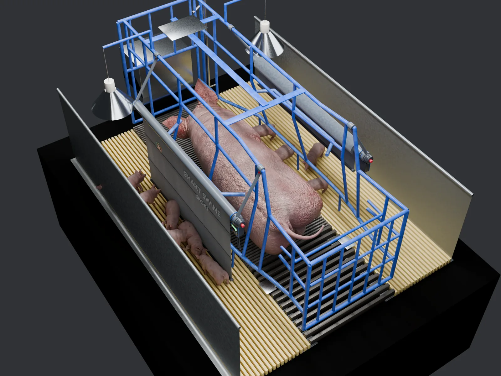 Overhead render: sow in sternal lying loaded to her left, left curtain down, right curtain lifted, concept industrial design