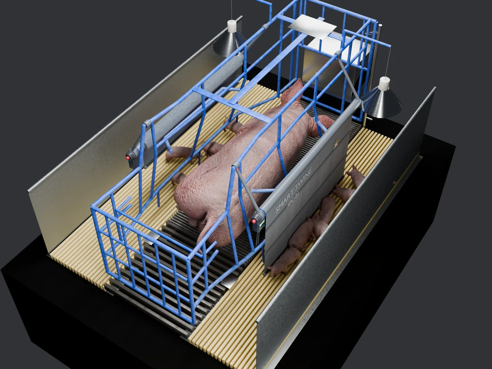 Overhead render: sow in sternal lying loaded to her right, right curtain down, left curtain lifted, concept industrial design