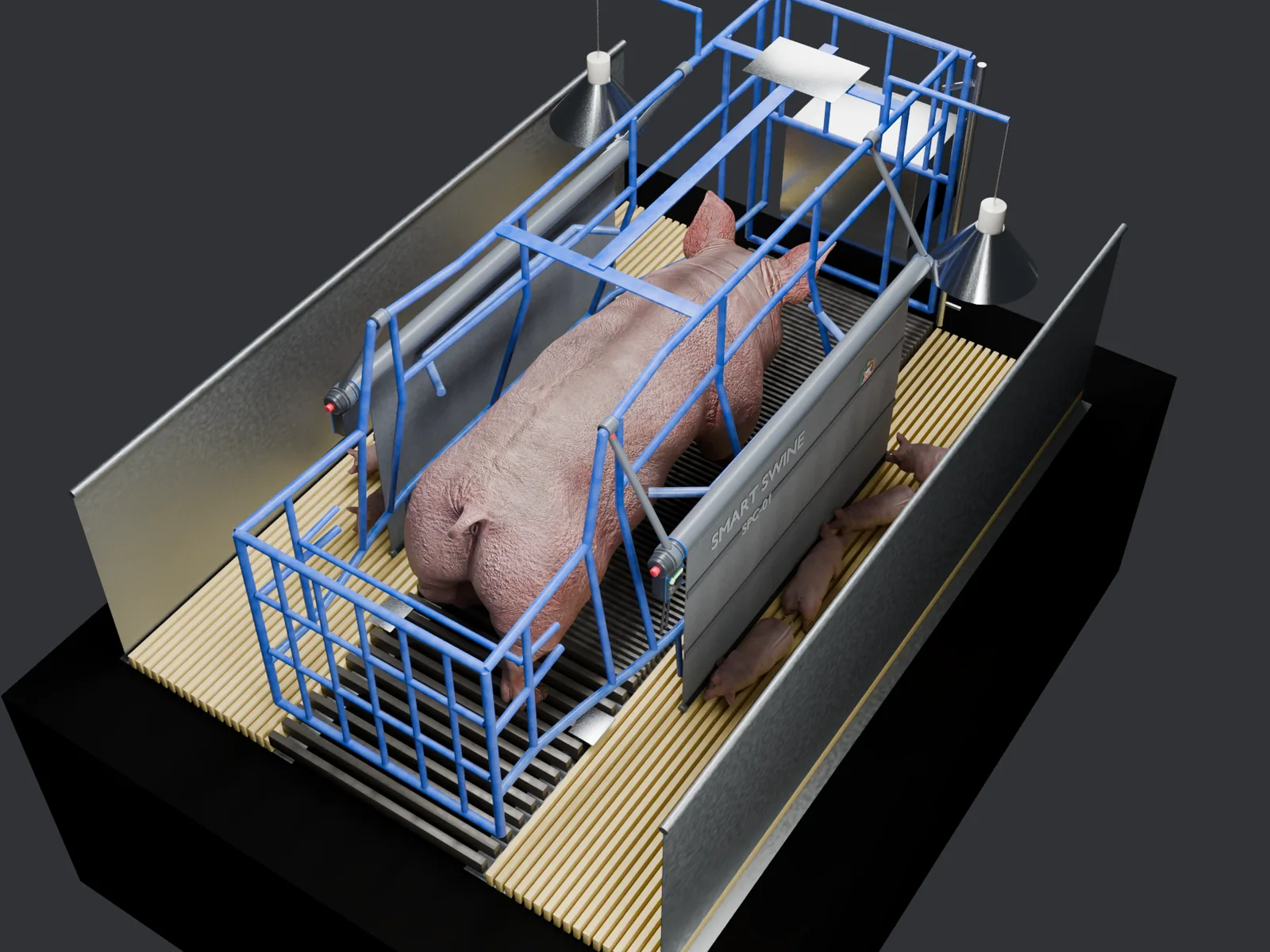 Overhead render: sow standing in the crate, both curtains down, the litter out on both strips, concept industrial design