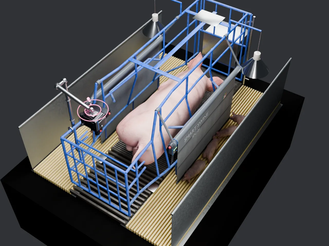 Overhead render of the farrowing crate: the sow has settled into sternal lying loaded to her right, both curtains still down, concept industrial design
