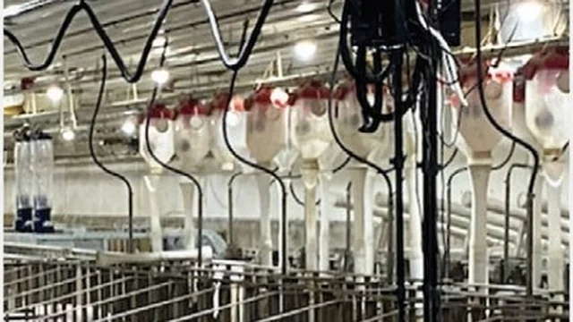A barn fitted with the overhead robotic imaging rig described in the article
